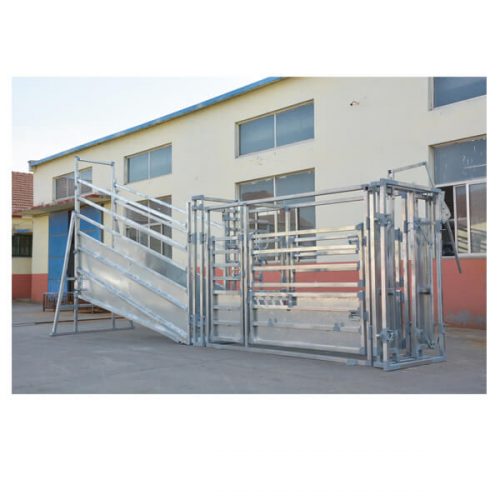 Cattle Crush 2